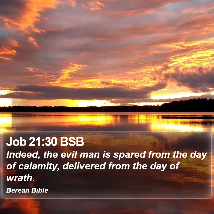 Job 21:30 BSB Bible Study