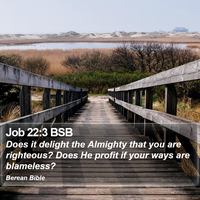 Job 22:3 BSB Bible Study