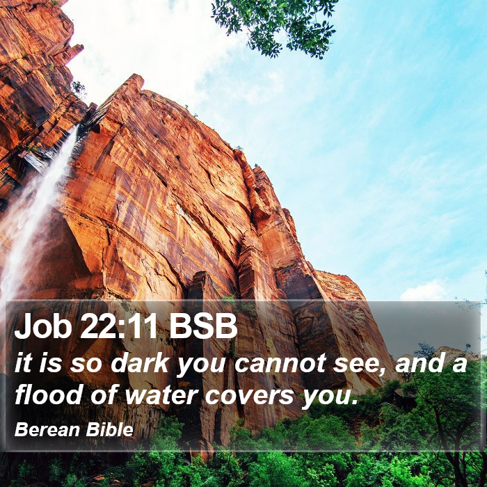 Job 22:11 BSB Bible Study