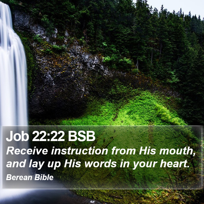 Job 22:22 BSB Bible Study