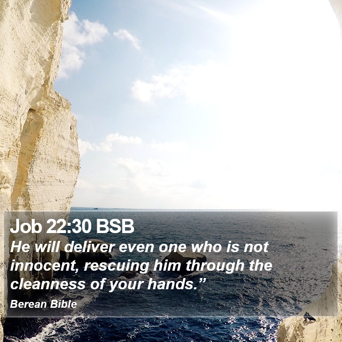 Job 22:30 BSB Bible Study