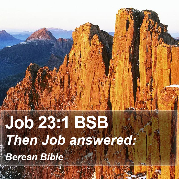 Job 23:1 BSB Bible Study