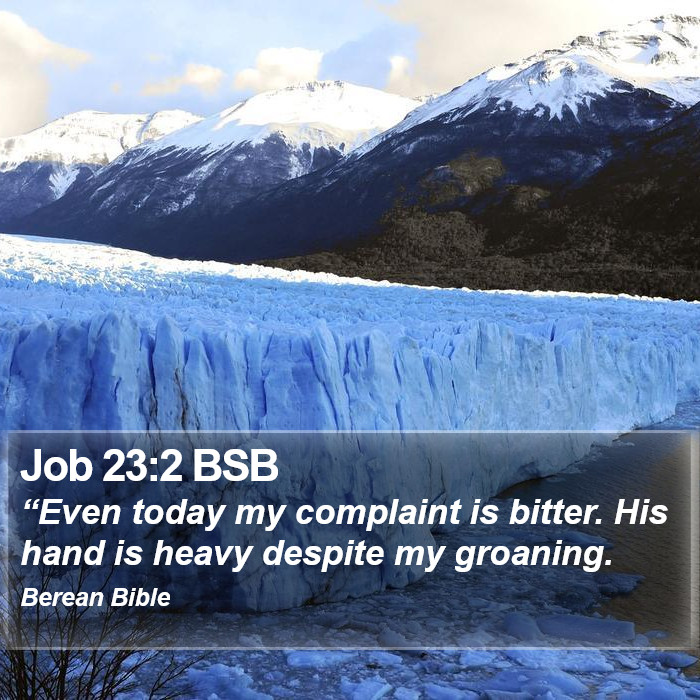 Job 23:2 BSB Bible Study