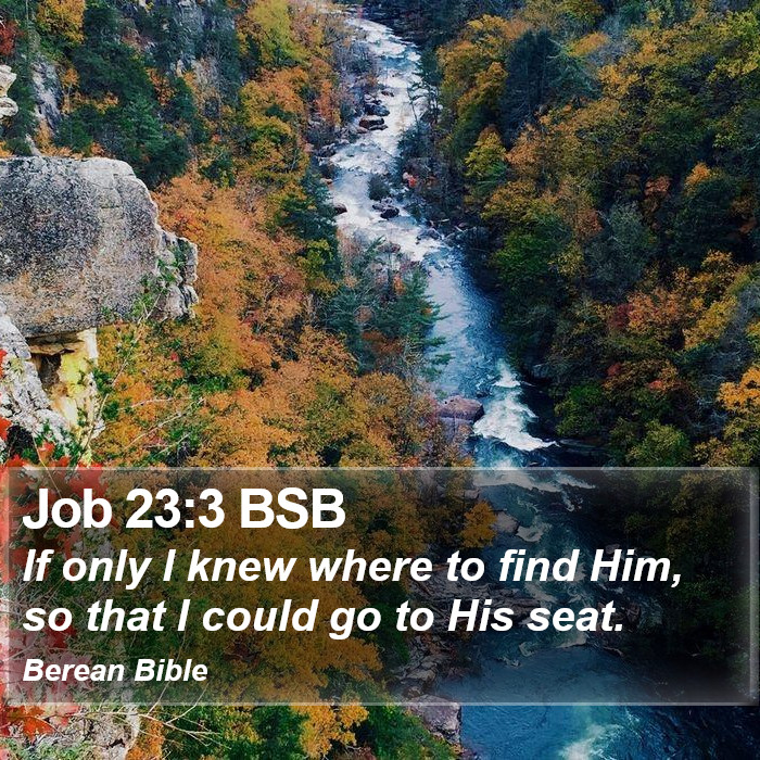 Job 23:3 BSB Bible Study