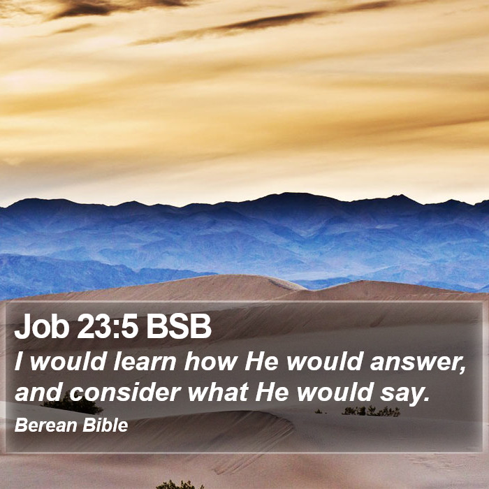 Job 23:5 BSB Bible Study