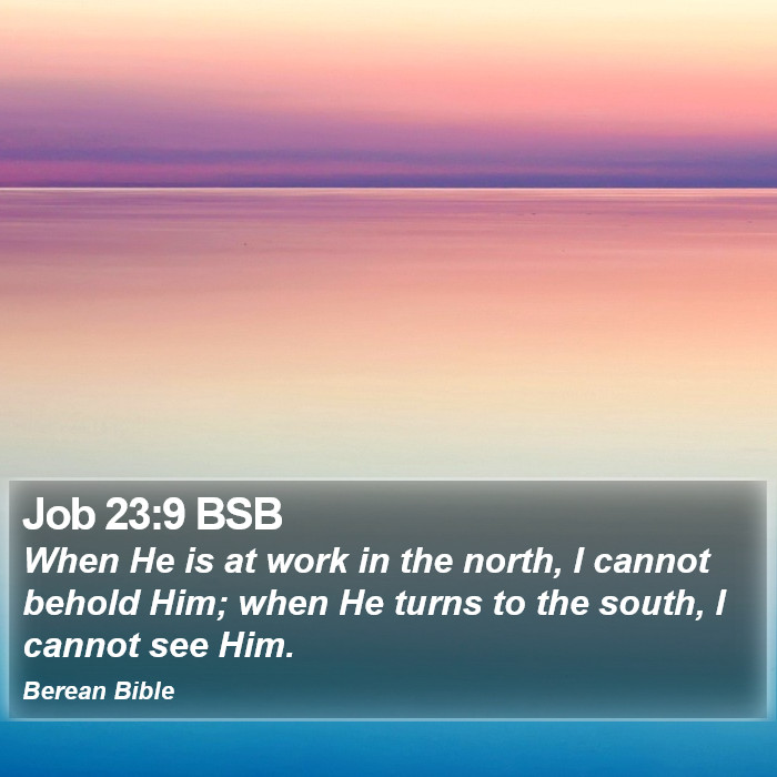 Job 23:9 BSB Bible Study