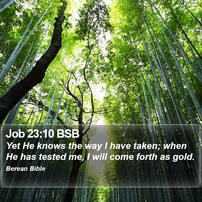 Job 23:10 BSB Bible Study