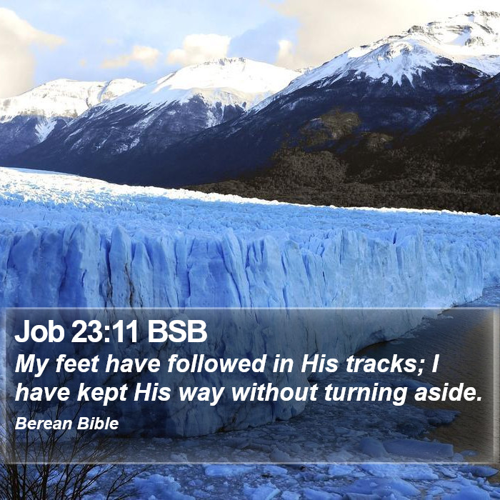 Job 23:11 BSB Bible Study