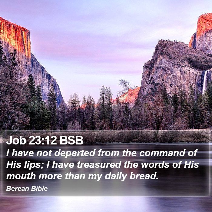 Job 23:12 BSB Bible Study