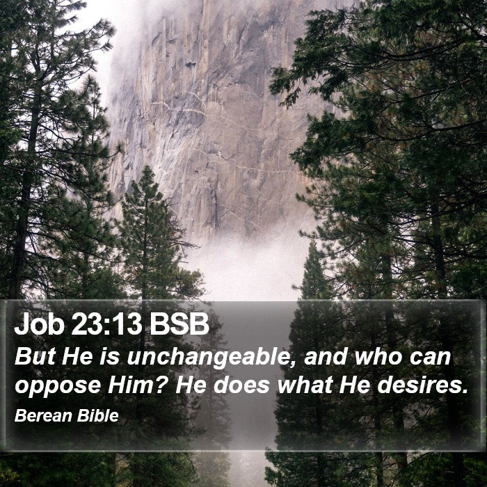 Job 23:13 BSB Bible Study