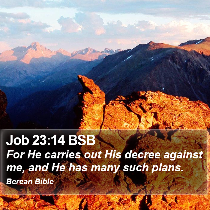 Job 23:14 BSB Bible Study