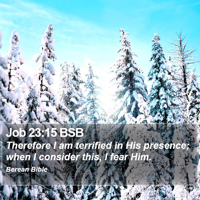 Job 23:15 BSB Bible Study