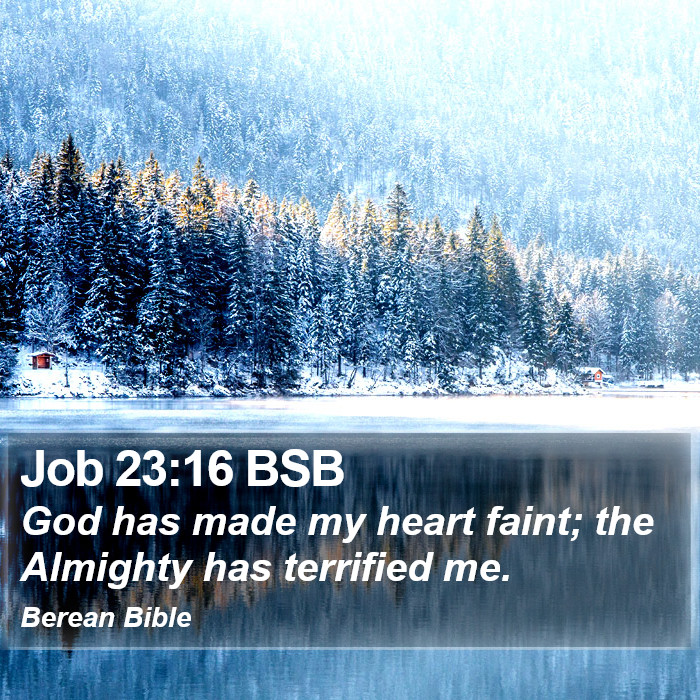 Job 23:16 BSB Bible Study