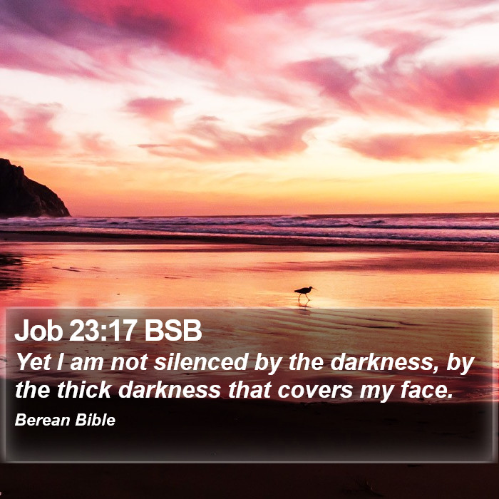 Job 23:17 BSB Bible Study