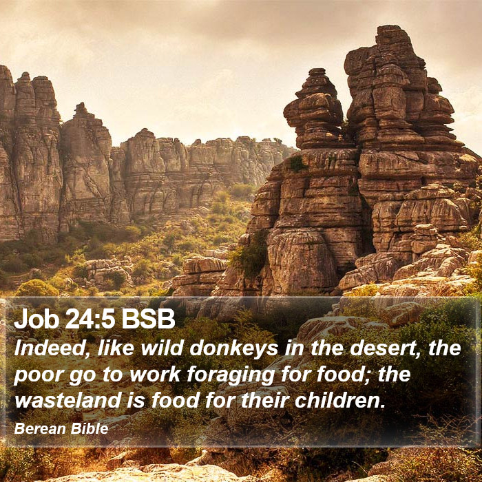 Job 24:5 BSB Bible Study