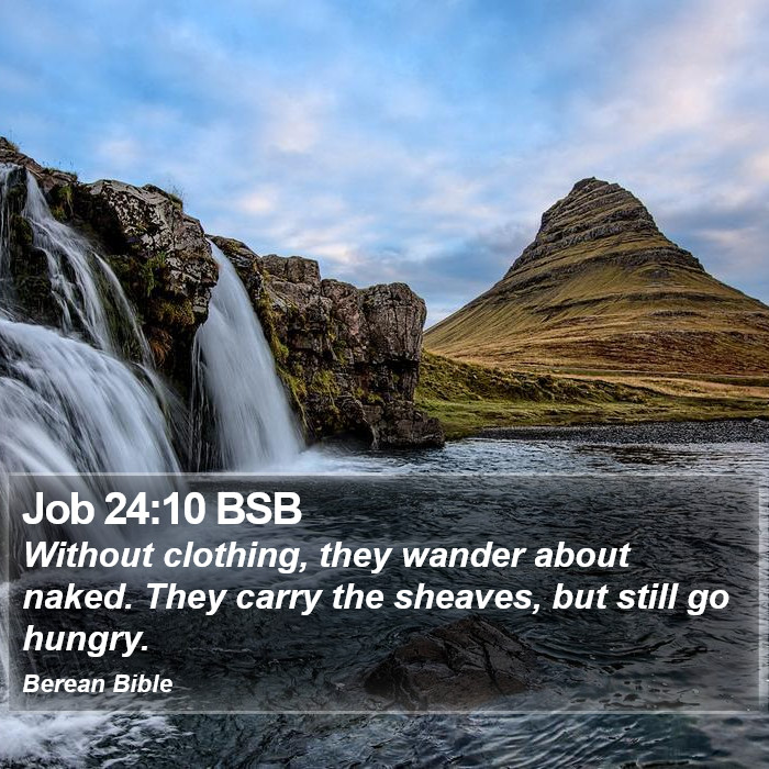 Job 24:10 BSB Bible Study