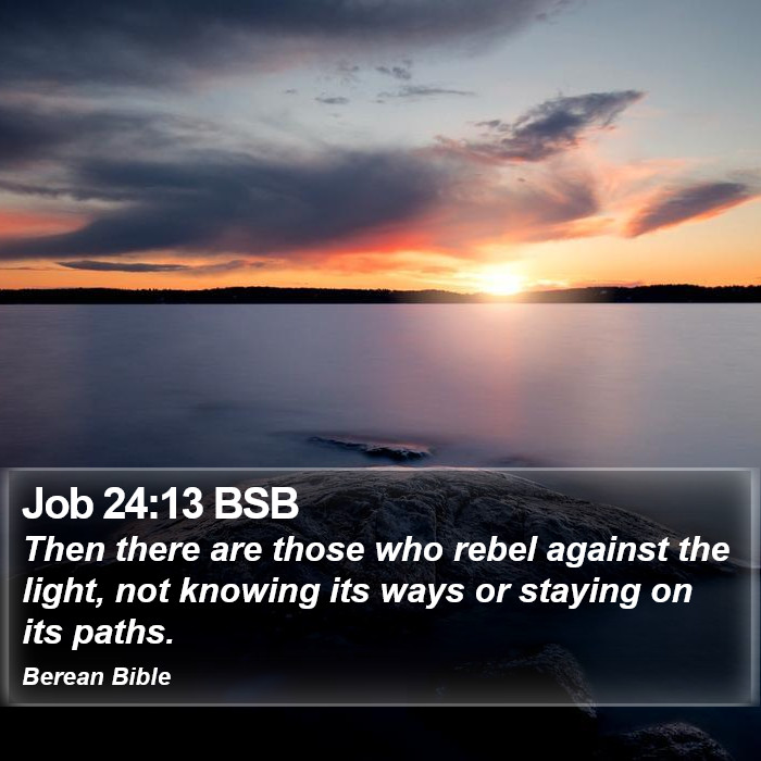 Job 24:13 BSB Bible Study