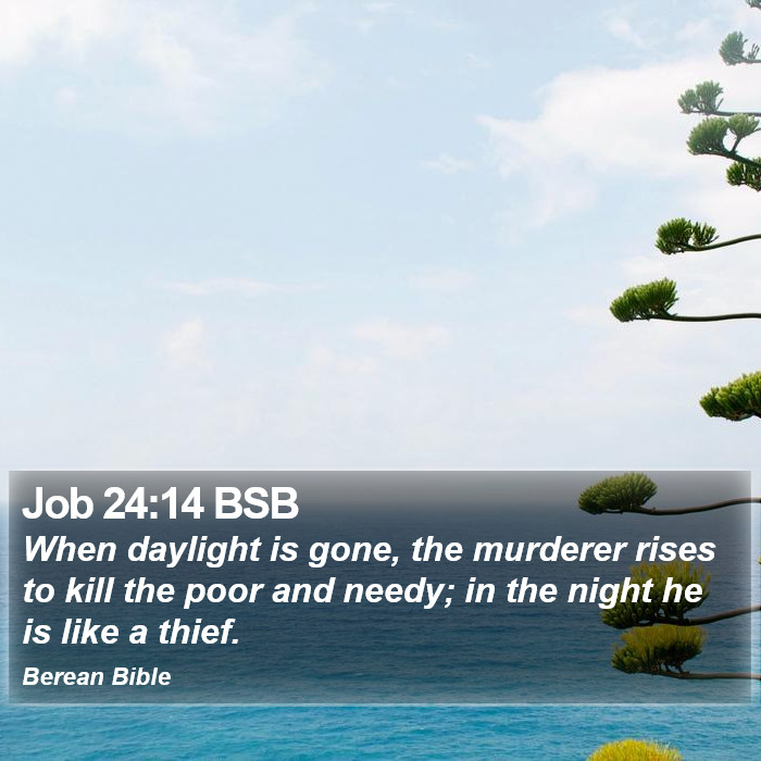 Job 24:14 BSB Bible Study