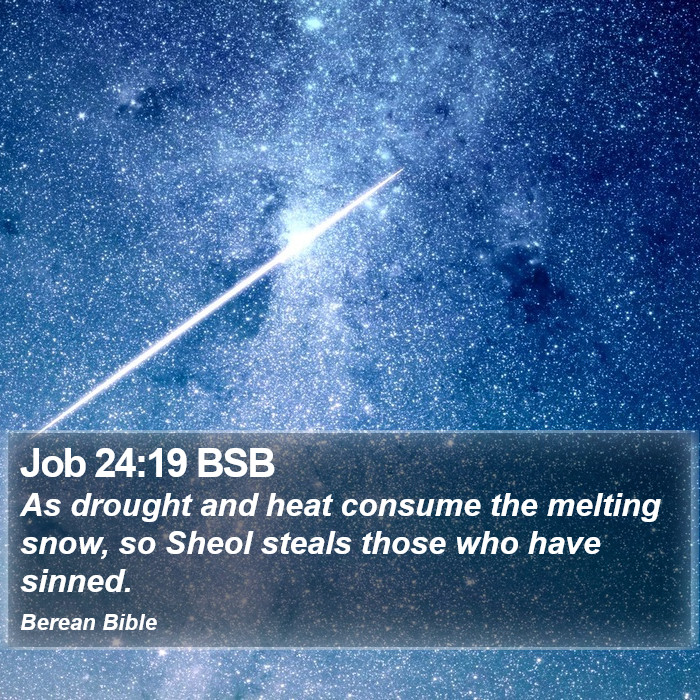 Job 24:19 BSB Bible Study