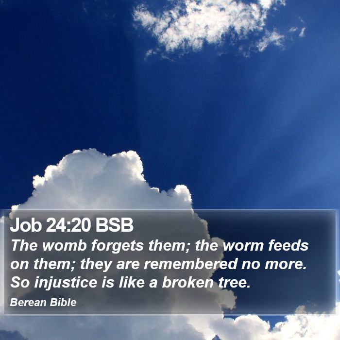 Job 24:20 BSB Bible Study