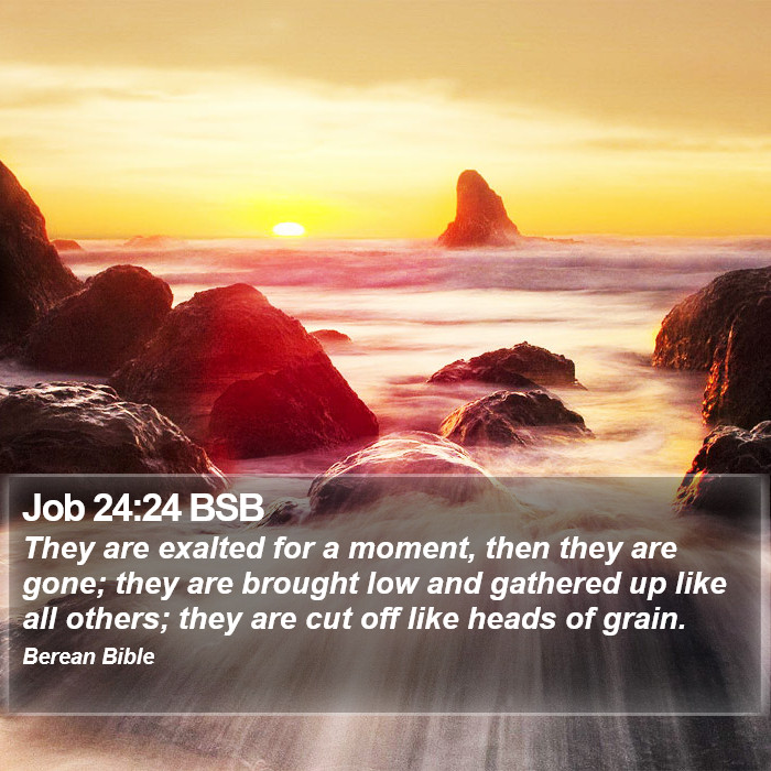 Job 24:24 BSB Bible Study