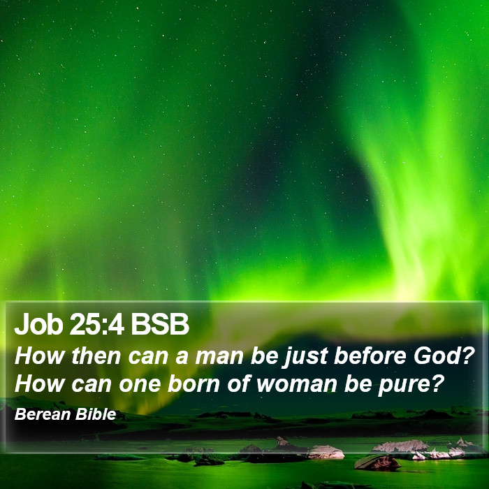 Job 25:4 BSB Bible Study