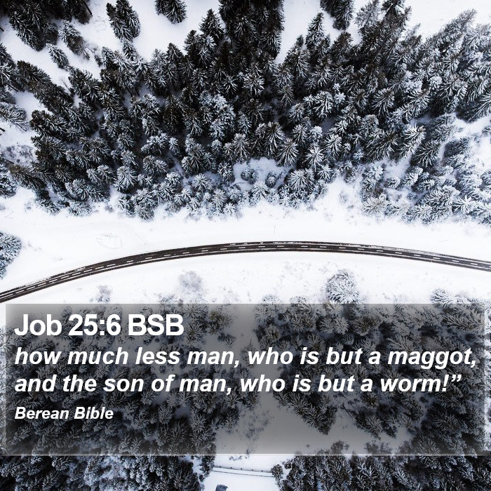 Job 25:6 BSB Bible Study