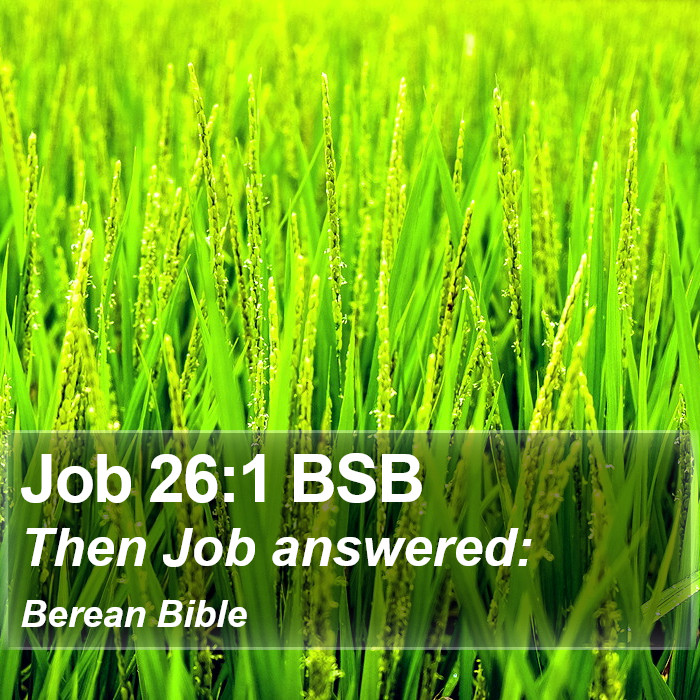 Job 26:1 BSB Bible Study