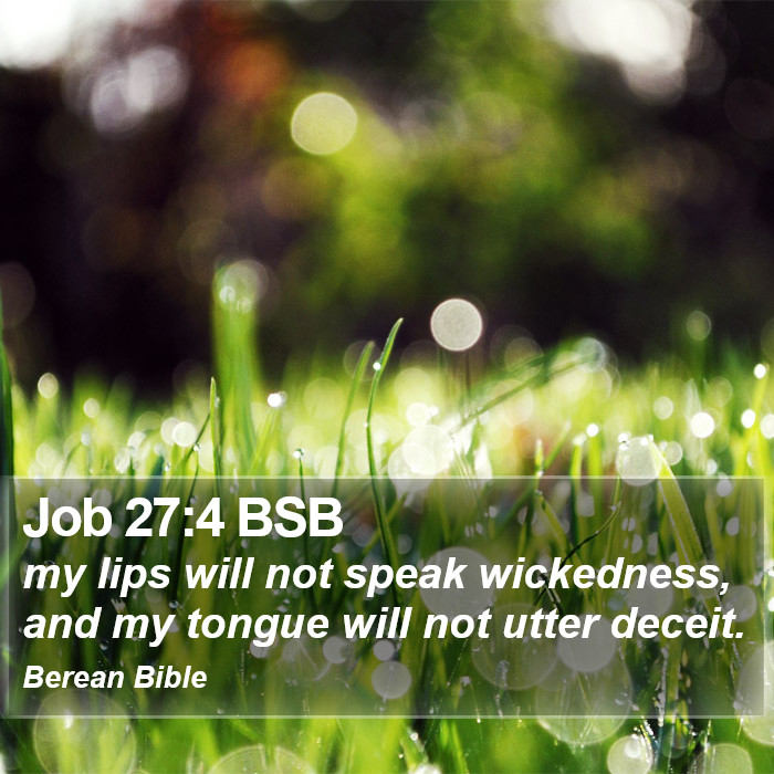 Job 27:4 BSB Bible Study