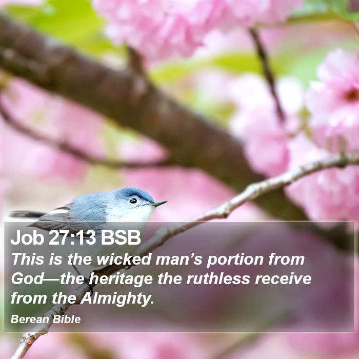 Job 27:13 BSB Bible Study