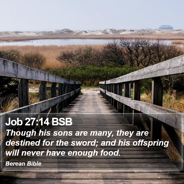 Job 27:14 BSB Bible Study