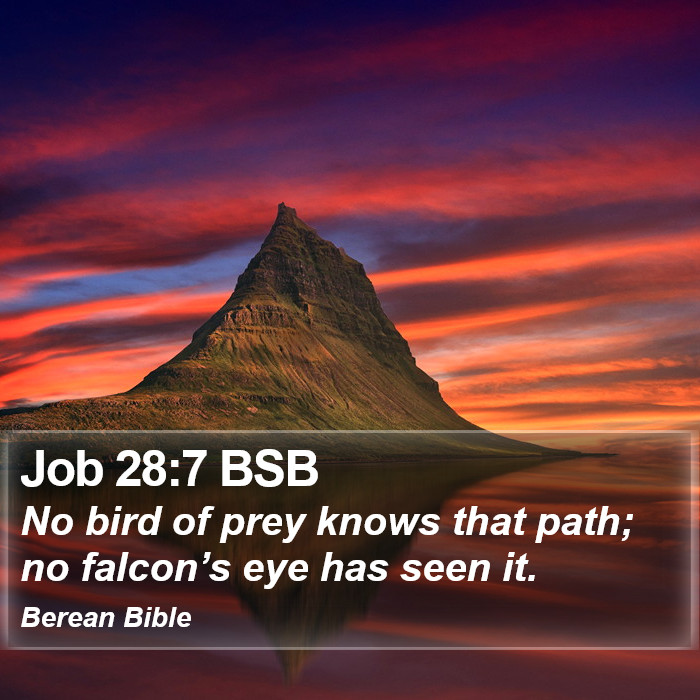 Job 28:7 BSB Bible Study