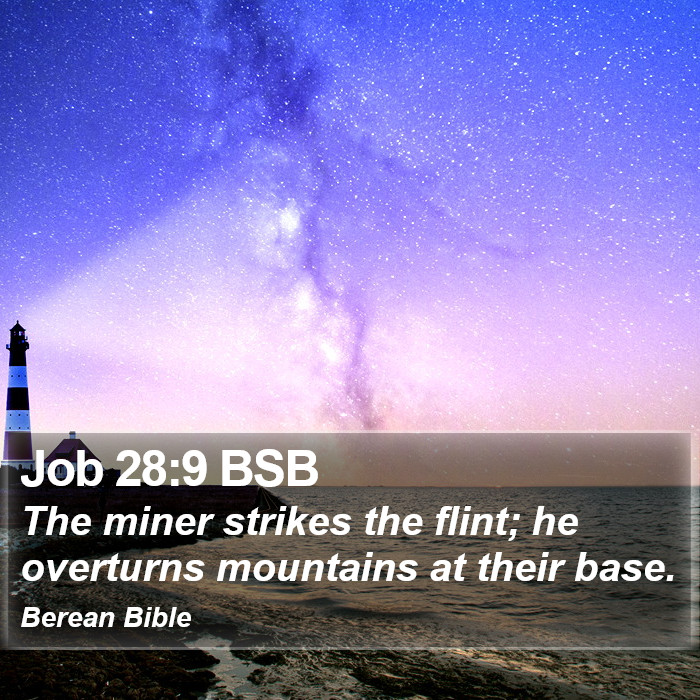 Job 28:9 BSB Bible Study