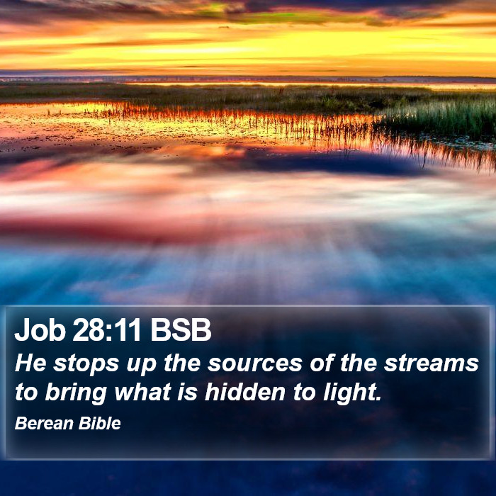 Job 28:11 BSB Bible Study