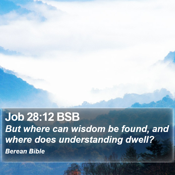 Job 28:12 BSB Bible Study