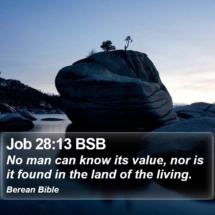 Job 28:13 BSB Bible Study