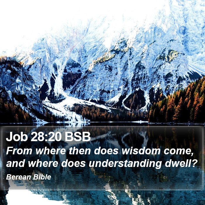 Job 28:20 BSB Bible Study