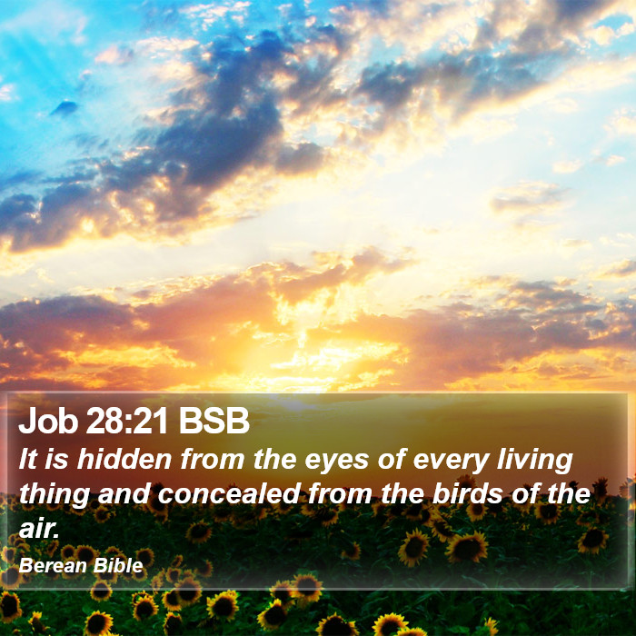 Job 28:21 BSB Bible Study