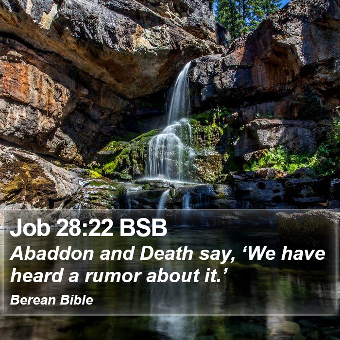 Job 28:22 BSB Bible Study