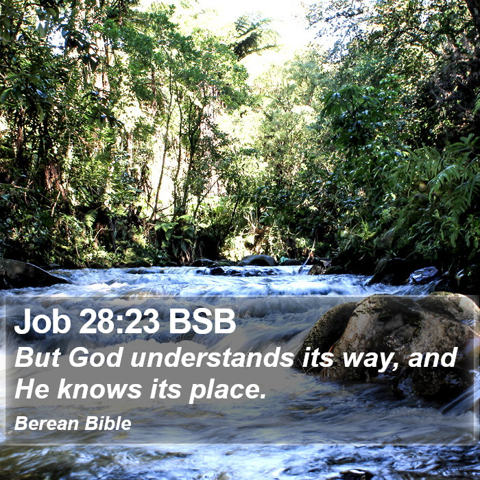 Job 28:23 BSB Bible Study