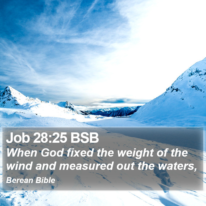 Job 28:25 BSB Bible Study