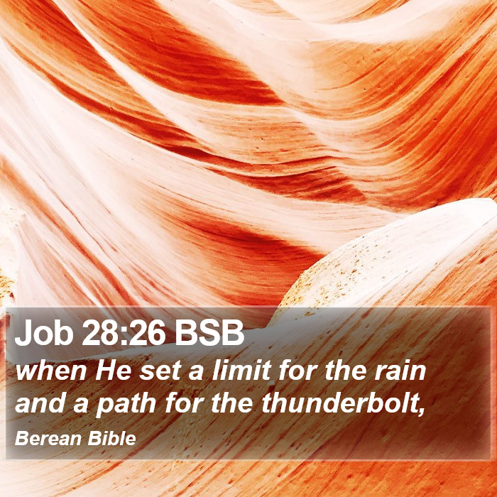 Job 28:26 BSB Bible Study