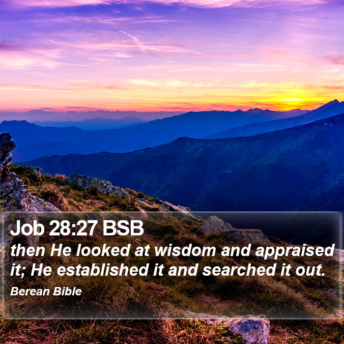 Job 28:27 BSB Bible Study