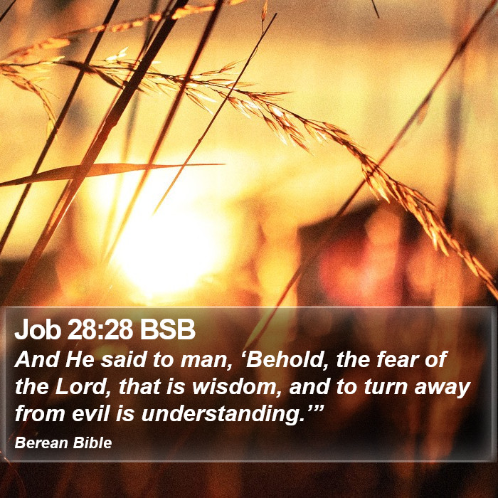 Job 28:28 BSB Bible Study