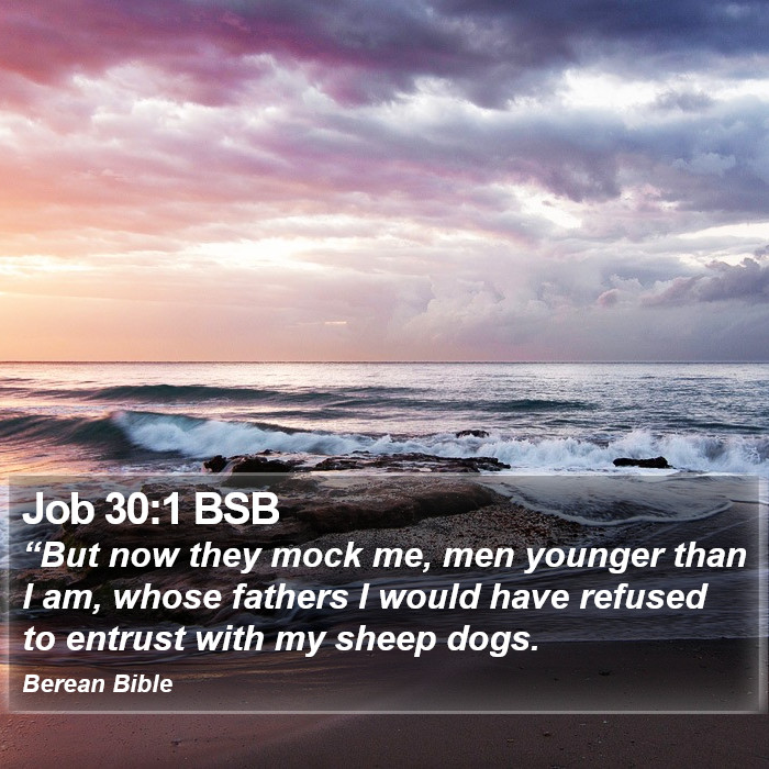 Job 30:1 BSB Bible Study