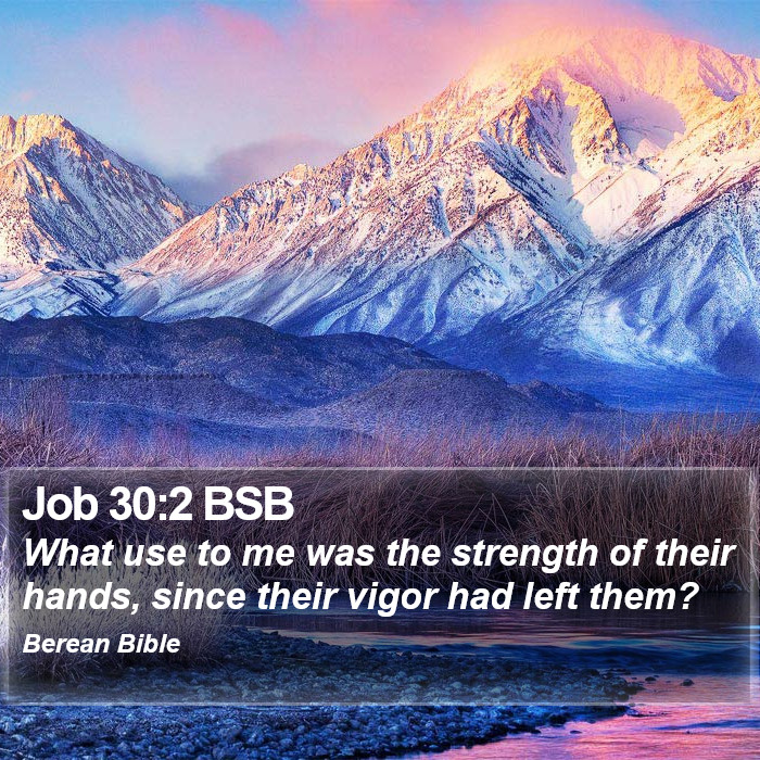 Job 30:2 BSB Bible Study