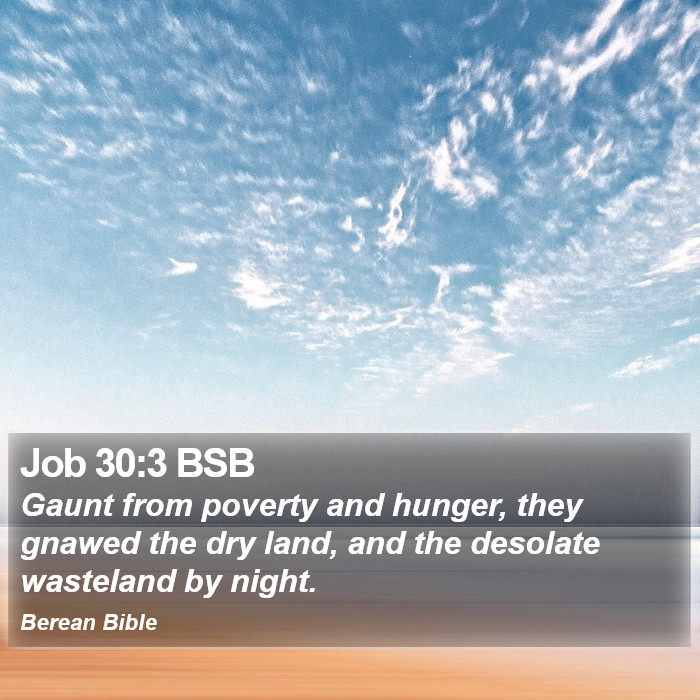 Job 30:3 BSB Bible Study