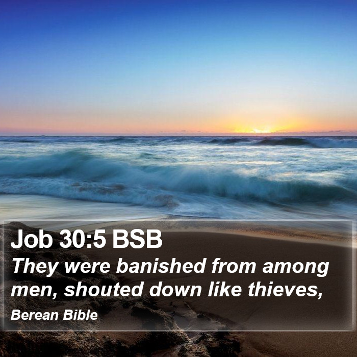 Job 30:5 BSB Bible Study