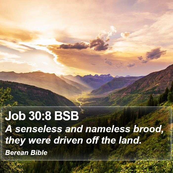 Job 30:8 BSB Bible Study