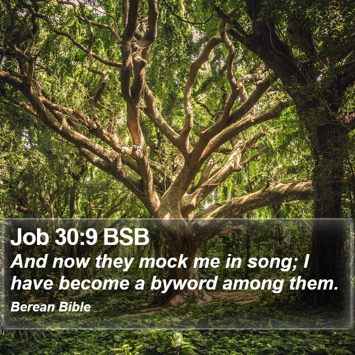 Job 30:9 BSB Bible Study